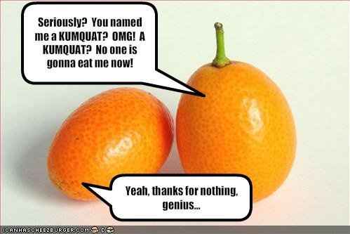 Tiedaknot, this is what I was TRYING to say, but WW is freaking out.