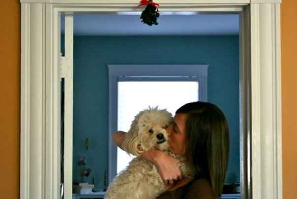 Christmas time with the furbabies!