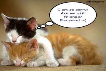 Kris! Kris! Kris!  Come over here!