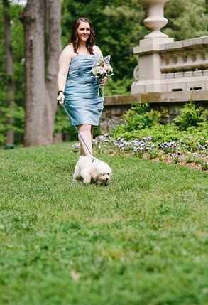 Dog down the aisle. what are your thoughts? UPDATE!!