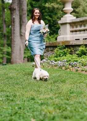 PUPPY AT WEDDING?