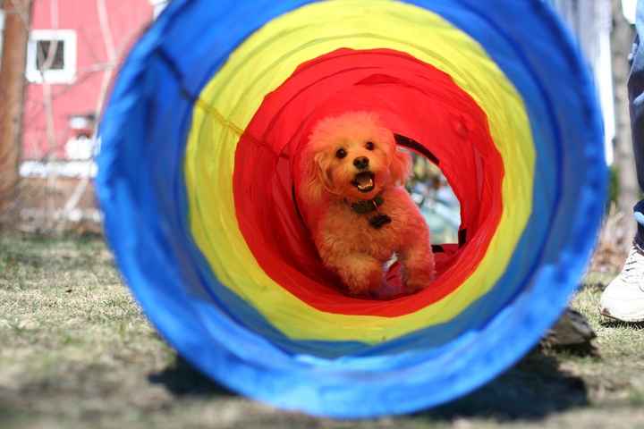 NWR: What are your hobbies? (besides wedding planning of course!)