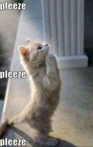 Are there less discussions on each page of the forums now?