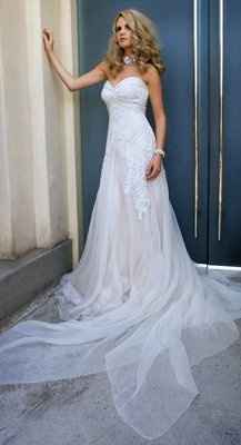 Ladies, what dress did you wish you could have tried on but didn't or couldn't get the chance to?