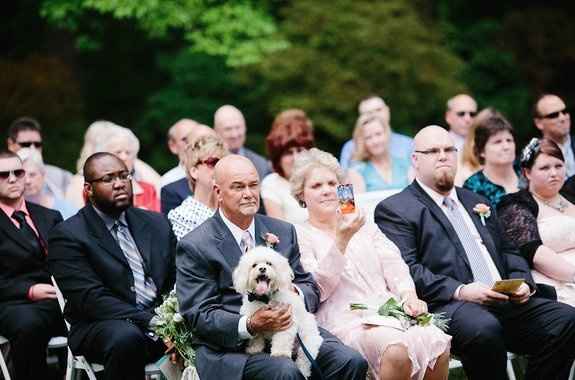 Dog in the ceremony