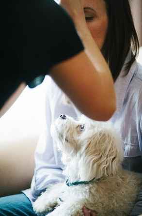 Pets in wedding party!!!