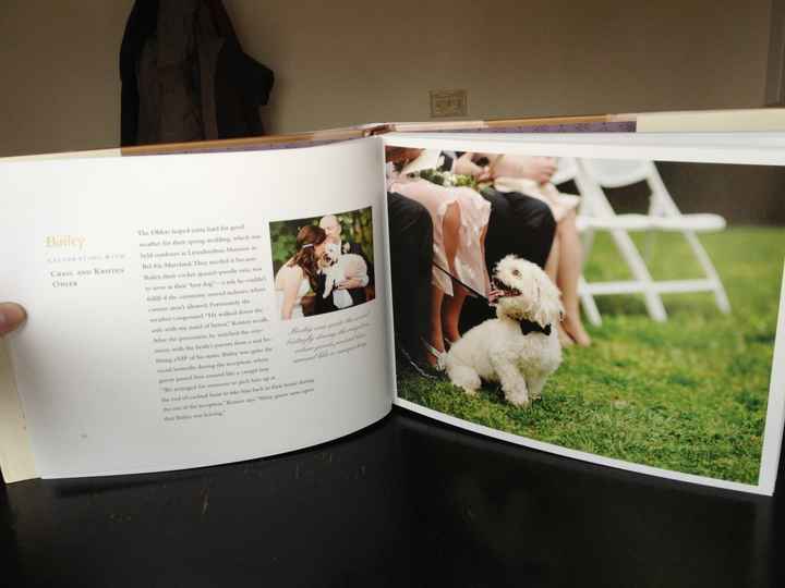 Pets in wedding party!!!