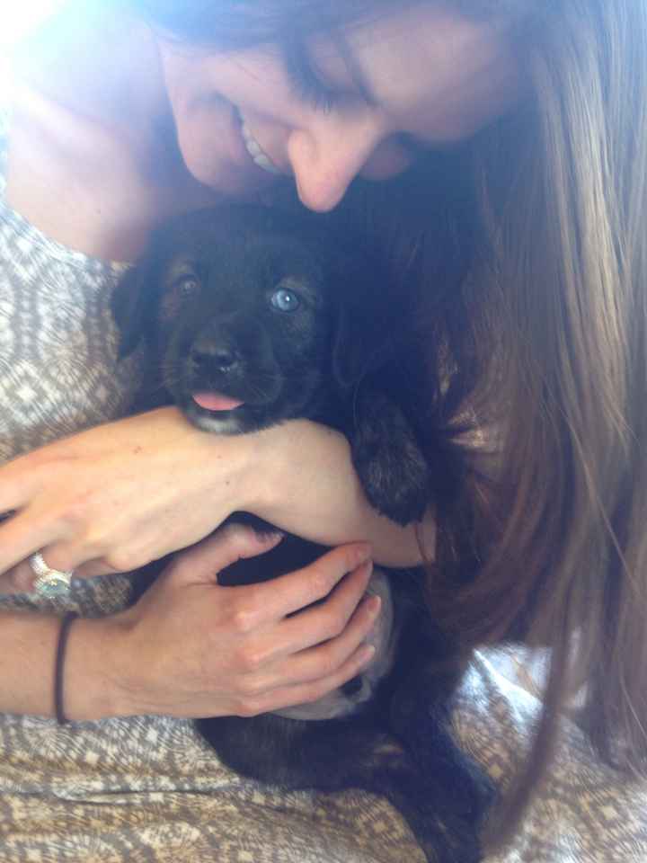 NWR - New puppy! Freaking out with joy! Name help please?