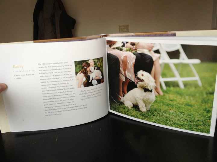 Our Dog/Wedding was published in a book and we got our copy today!