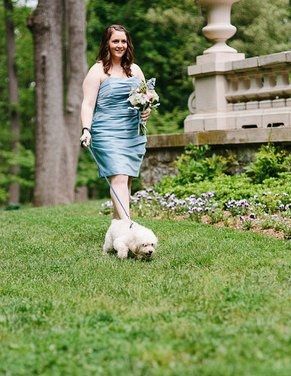 Dog in the ceremony
