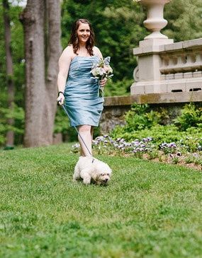Pets in wedding party!!!