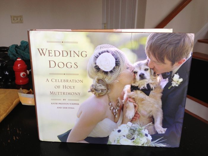 Pets in wedding party!!!