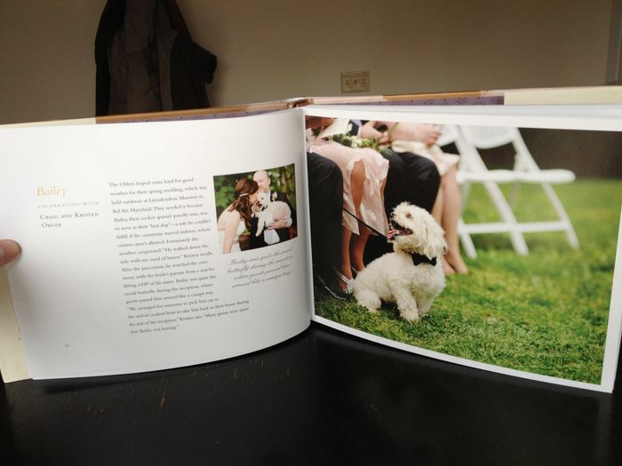 Pets in wedding party!!!