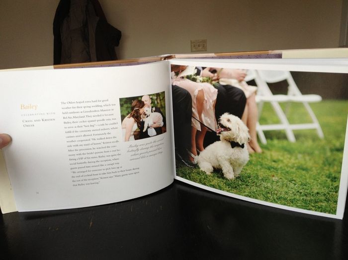 Our Dog/Wedding was published in a book and we got our copy today!