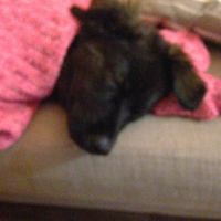 NWR: Show off your furbabies!