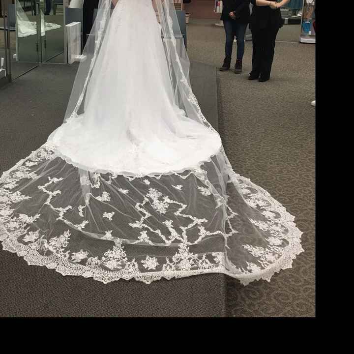 Veils - 1
