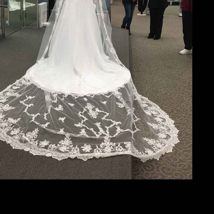 Veils - 1