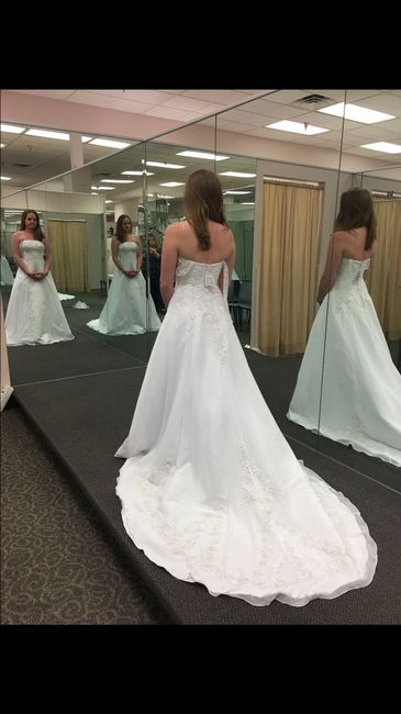 My Dress Came In!!! - Please share yours 😆 - 1
