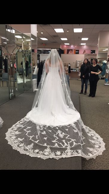My Dress Came In!!! - Please share yours 😆 - 2