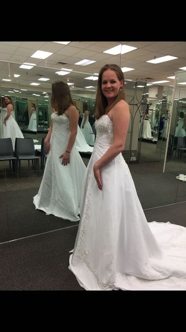 My Dress Came In!!! - Please share yours 😆 - 4