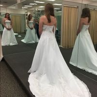 My Dress Came In!!! - Please share yours 😆 - 1