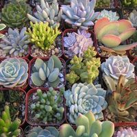 It's Official--I'm adicted to Etsy!! *PICS* - Share yours