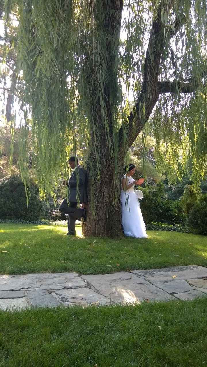 BAM!!! Non-Pro Pics   Advice!