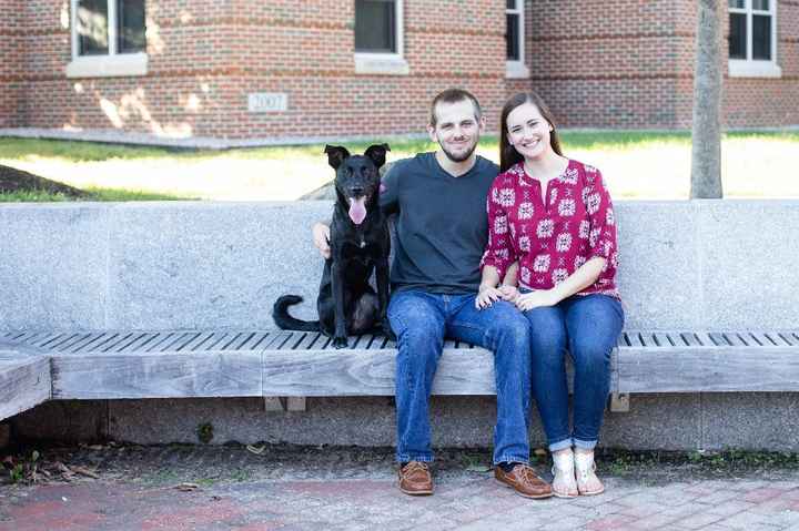 Are you including your pet in your engagement pictures? - 1