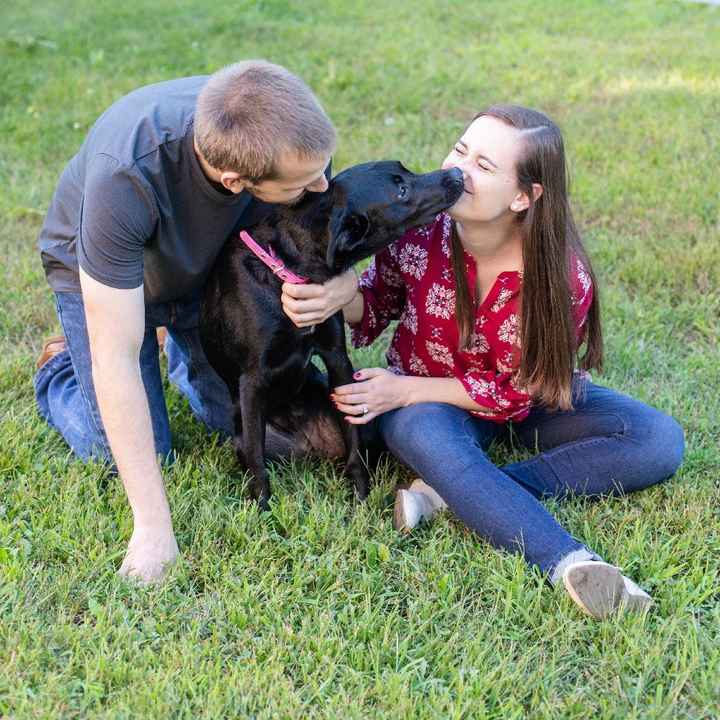 Are you including your pet in your engagement pictures? - 3
