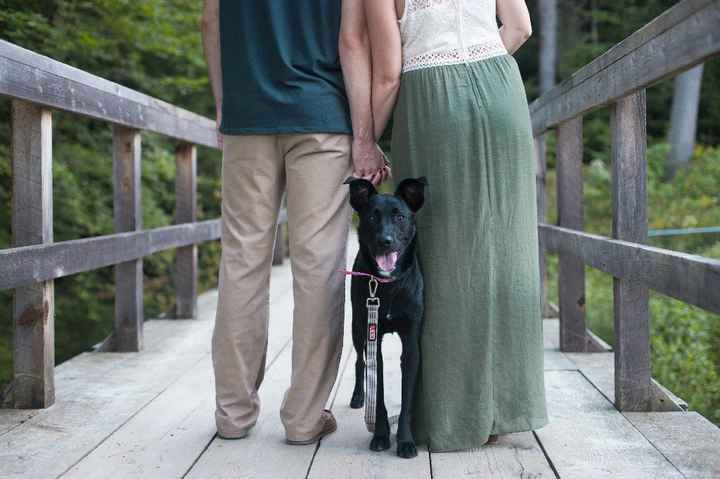 Are you including your pet in your engagement pictures? - 4