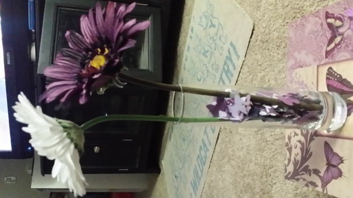 DIY Stuff (pics)