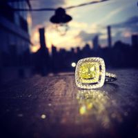 Canary diamond / Canary diamond halo / white diamond halo