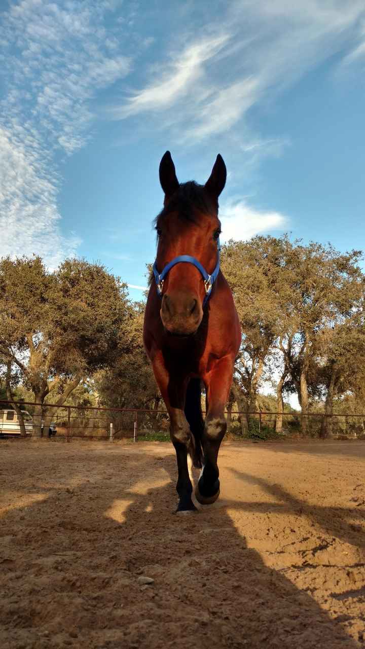 Show me your fur babies!