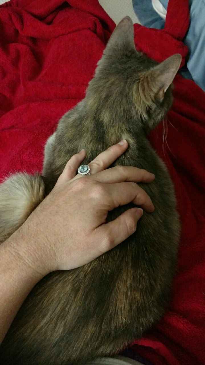 Let's see those rings!