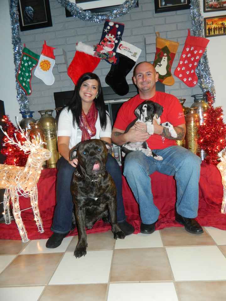 Christmas Family Picture!!!!!!