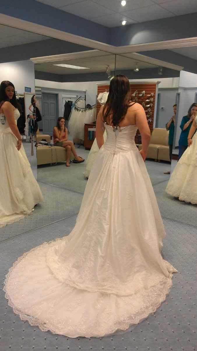 Found my dress!!! what do you think? (pic included)