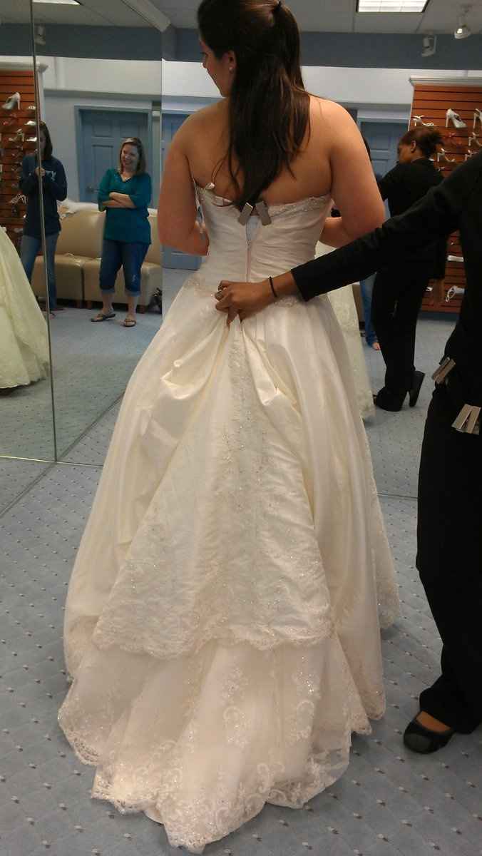 Found my dress!!! what do you think? (pic included)