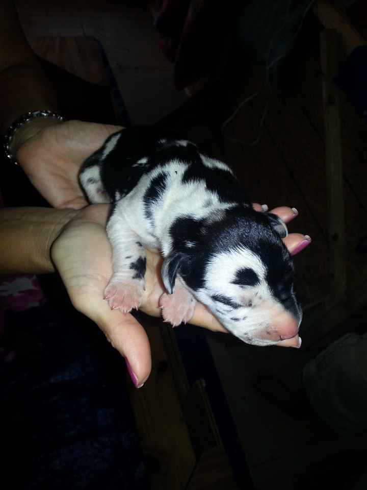 NWR- A new addition to the family!! *PICS*