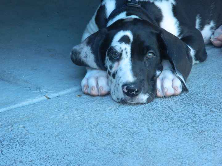 NWR- A new addition to the family!! *PICS*