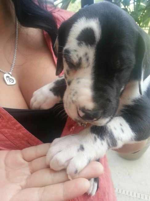 NWR- A new addition to the family!! *PICS*