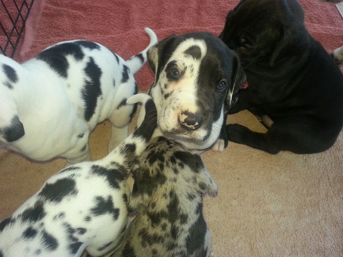 NWR- A new addition to the family!! *PICS*