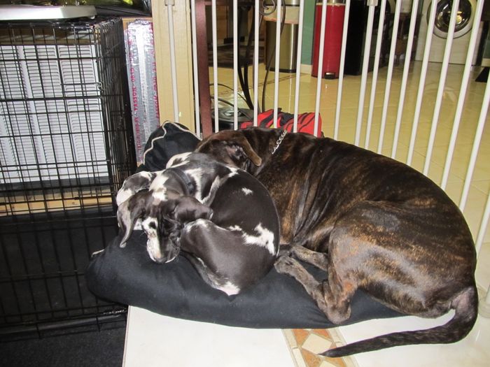 NWR- A new addition to the family!! *PICS*