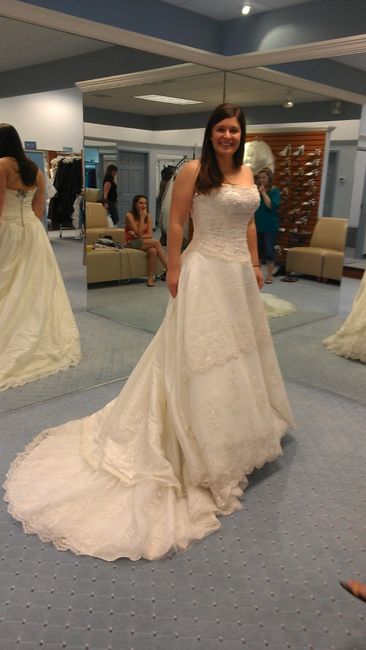 Found my dress!!! what do you think? (pic included)