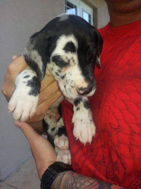 NWR- A new addition to the family!! *PICS*