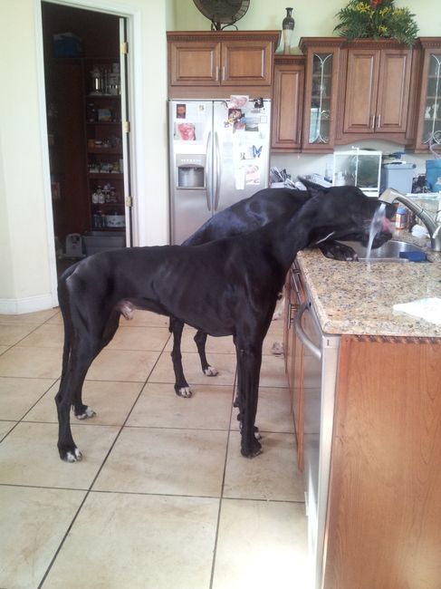 NWR- A new addition to the family!! *PICS*