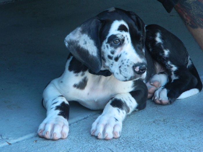 NWR- A new addition to the family!! *PICS*