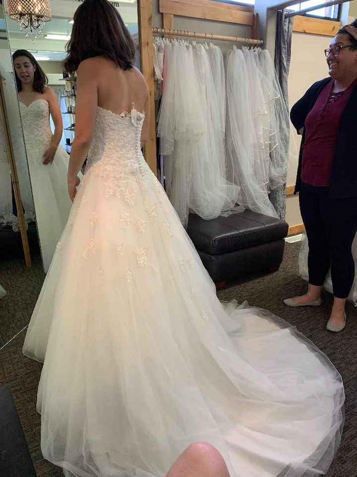 Dress Regrets (i Found My Dream Dress) - 2