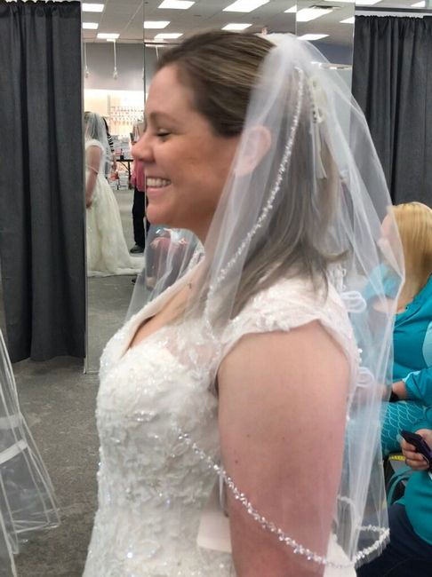 The Veil