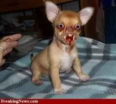 WWR: The Third Rails of Wedding Wire