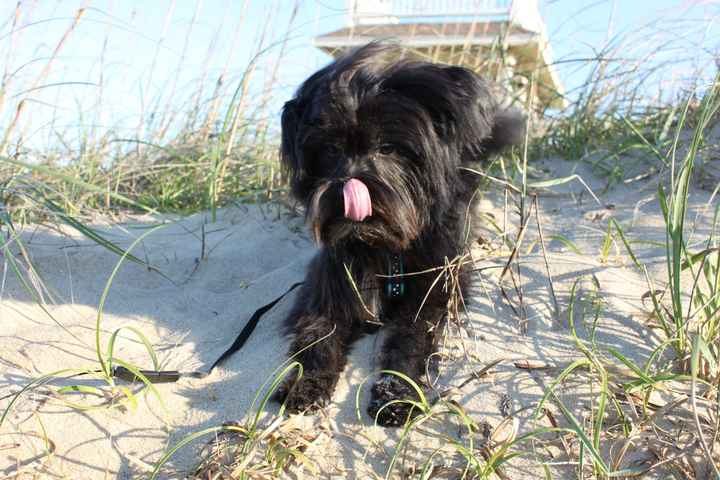 NWR: post pics of your pets!!